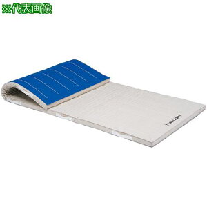 ���g�[�G�C���C�g �R���r�l�[�V�����}�b�g 120×240×6cm�k�i��:T1275�l�y6843833:0�z[�����ʓr���ς�][�@�l�E���Ə�����][�O����][�X�����s��]