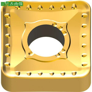 ���O�H M���C���T�[�g �| P�� ISO�C���T�[�g �l�K �����` �d�؍� ���t���l�K�e�B�u MC6125�s10���t�k�i��:SNMM250724HM�l�y6857689×10:0�z[�����ʓr���ς�][�f�O���][�X�����s��]