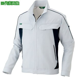 ���A�C�g�X �����X�g���b�`�u���]��(�G�R���[�J�[�X�g���b�`�j�����p)AZ1902 �V���o�[�O���[ 4L�k�i��:AZ19020034L�l�y6888568:0�z[�����ʓr���ς�][�f�O���][�X�����s��]