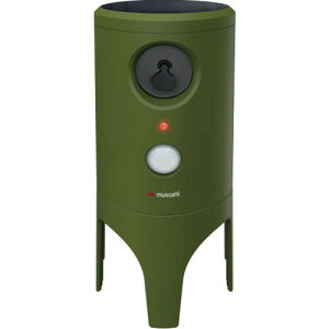 musashi \[[Lki:REP610ly6891383:0z[ʓrς][fO][Xs]