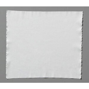 ��TriApex �N���[�����C�p�[ FZ800C 100������k�i��:FZ800C01�l�y6891804:0�z[�����ʓr���ς�][�f�O���][�X�����s��]