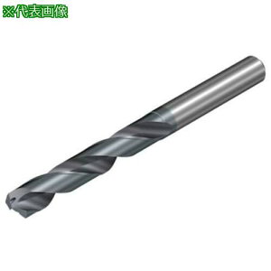 ��SANDVIK CoroDrill Dura462 �}���`���ތ����̒��d�\���b�h�h����6mm(722) X2BM�k�i��:462.10600030A1XM�l�y6908750:0�z[�����ʓr���ς�][�f�O���][�X�����s��]