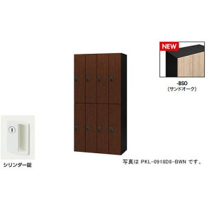 NAIKI p[\ibJ[(8lp) |bP PKL^/:ThI[N {:ubN/W900×D450×H1800ki:PKL09188BSOly6927893:0z[ʓrς][fO][Xs]