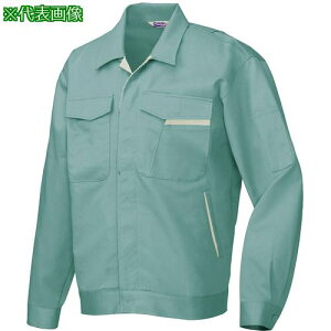 ACgX Wp[AZ770 ^[RCY×A[XO[ Ski:AZ770027Sly6936856:0z[ʓrς][fO][Xs]