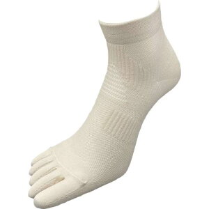 ^JCN C ajO\bNX(5{w) zCg 1P STCY 23-25cmki:SKW575Sly6951109:0z[Xs]