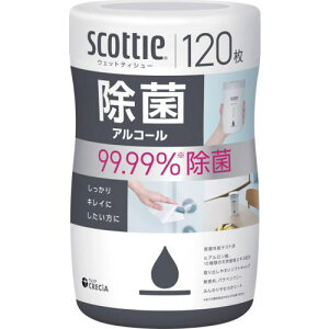 NVA XRbeB EFbgeBV[ AR[ 120ki:77133ly6972528:0z[Xs]