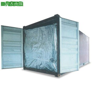 ���T���L�[�v �L�[�v�T�[���t�B���� �R���e�i���C�i�[ 40ft�p�t���^�C�v�k�i��:CL40FULL�l�y6998050:0�z[�����ʓr���ς�][�f�O���][�X�����s��]