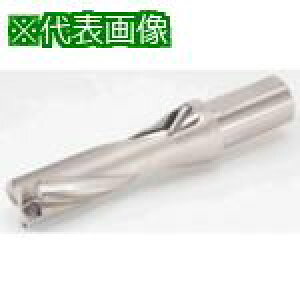 ���y�݌Ɍ���z�^���K���C �^���O�h�����c�C�X�e�b�h TDX-W(L/D=3)�k�i��:TDX170W203�l�y7000383:0�z[�X�����s��]