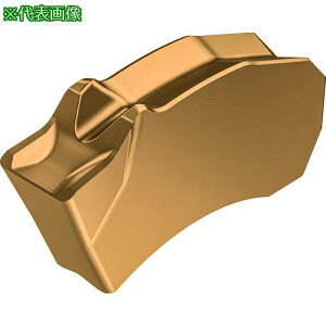 ��Walter �a���ꂨ��ѓ˂��؂�p�`�b�v Tiger�Etec Gold WSM23G�s10���t�k�i��:SX3E300N02CE4�l�y7006444×10:0�z[�X�����s��]