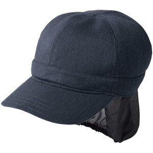 TybNX [NLbv qXq HX JtF jtH[ lCr[ Lki:SHAU2006K3Lly7009930:0z[ʓrς][fO][Xs]