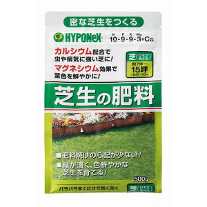 nC|lbNX y̔͏oKvz엿 nC|lbNX Ő̔엿 500gki:H017629ly7022480:0z[Xs]