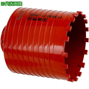 ���~���i�K �h���C�����h�R�A�h���� �|���J�b�^�[ �V���[�g�T�C�Y ��110×80mm�k�i��:PCD11080C�l�y7051290:0�z[�����ʓr���ς�][�f�O���][�X�����s��]