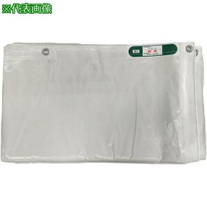 ^JCN hV[g(y) 2.7m×3.6ms8tki:B62736ly7066239×8:0z[ʓrς][fO][Xs]