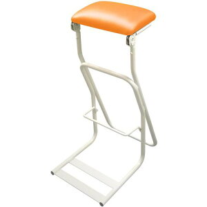 ZCR[ Ɨp`FA TEZ-685W e|B[`FAZki:TEZ685W04ly7070298:0z[ʓrς][@lEƏ][O][Xs]