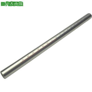 ���O�D�L�J�C ��ږڐ��}���p�C�v �p�C�W���� SS13N300EC�k�i��:SS13N300EC�l�y7070852:0�z[�����ʓr���ς�][�f�O���][�X�����s��]