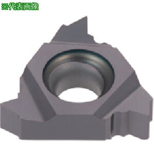 ���^���K���C �^���O�E�X���b�h �O�a�pNPT�˂��C���T�[�g ER-NPT AH725�s5���t�k�i��:16ER14NPTF�l�y7076291×5:0�z[�����ʓr���ς�][�f�O���][�X�����s��]