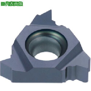 ���^���K���C �^���O�E�X���b�h �O�a�pNPT�˂��C���T�[�g ER-NPT AH725�s5���t�k�i��:16ER27NPTF�l�y7076924×5:0�z[�����ʓr���ς�][�f�O���][�X�����s��]