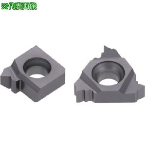 ���^���K���C �^���O�E�X���b�h ���a�pNPT�˂��C���T�[�g IR-NPT AH725�s5���t�k�i��:16IR14NPT�l�y7077831×5:0�z[�����ʓr���ς�][�f�O���][�X�����s��]