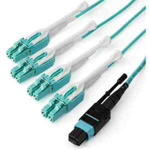 ��StarTech ���t�@�C�o�[�P�[�u��/OM3 �}���`���[�h/1m/MTP-4xLC/8�c/�f���v���b�N�X/MPO/�I�v�e�B�J���P�[�u���k�i��:MPO8LCPL1M�l�y7085049:0�z[�@�l�E���Ə�����][������][�X�����s��]