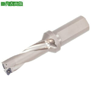 ���^���K���C �^���O�h�����c�C�X�e�b�h TDX-F(L/D=3)�k�i��:TDX170F203�l�y7105428:0�z[�����ʓr���ς�][�f�O���][�X�����s��]