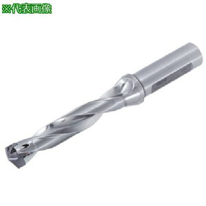 ���^���K���C �w�b�h�������h���� �h�����E�}�C�X�^�[ TID-F(L/D=5)�k�i��:TID170F205�l�y7105517:0�z[�����ʓr���ς�][�f�O���][�X�����s��]