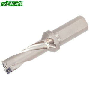 ���^���K���C �^���O�h�����c�C�X�e�b�h TDX-F(L/D=3)�k�i��:TDX200F253�l�y7105541:0�z[�X�����s��]