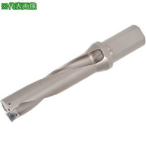 ���^���K���C �^���O�E�V�b�N�X�E�h���� TDS-F(L/D=4)�k�i��:TDS400F404�l�y7107072:0�z[�X�����s��]