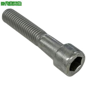 ���R�m�G �Z�p���t�{���g BUMAX DX129 ���˂� 8×60�k�i��:CSDX129860�l�y7110053:0�z[�����ʓr���ς�][�f�O���][�X�����s��]