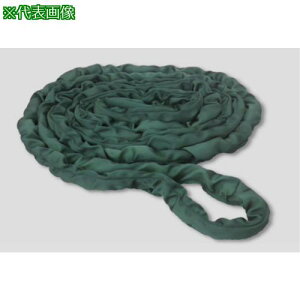 ��TESAC �x���g�X�����O �n�C�e�N�����\�t�gN�`(�G���h���X�^�C�v) 13t�p×5m�k�i��:THSN13TX5M�l�y7112992:0�z[�@�l�E���Ə�����][�O������][�X�����s��]