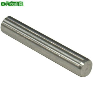 ���R�m�G ���s�s��A�� SUS303 6×100�k�i��:PARAPINASUS6100�l�y7120019:0�z[�����ʓr���ς�][�f�O���][�X�����s��]