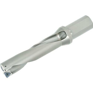 ���^���K���C �^���O�E�V�b�N�X�E�h���� TDS-F(L/D=4)�k�i��:TDS225F254�l�y7130678:0�z[�X�����s��]