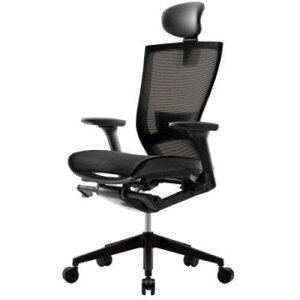 ���A�[���G�t���}�J�� T50air �`�F�A ���I �w�b�h���X�g �����o�[�t�� �u���b�N�k�i��:CHXRF6100AHZ2D6B�l�y7138204:0�z[�@�l�E���Ə�����][������][�X�����s��]