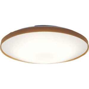 ��Panasonic LED�V�[�����O���C�g 12���p �����E���F ���C�g�i�`�������J���[�k�i��:LGC51157K�l�y7140179:0�z[�����ʓr���ς�][�f�O���][�X�����s��]