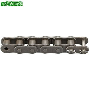 ��KANA ���[���`�F�[�� �`�F�[��No.100 96�����N�k�i��:OCM100RPT�l�y7153378:0�z[�����ʓr���ς�][�f�O���][�X�����s��]