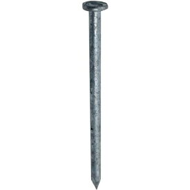 ■DAIDOHANT Zマーク 太め釘 ZN65 約100本入〔品番:10174072〕【7160222:0】[送料別途見積り][掲外取寄][店頭受取不可]
