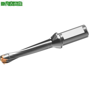 ���O�H �w�b�h���������d�h���� DXAS�z���_ d18×L/D 5�k�i��:DXAS1800X5F25�l�y7177800:0�z[�����ʓr���ς�][�f�O���][�X�����s��]