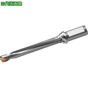 ���O�H �w�b�h���������d�h���� DXAS�z���_ d18×L/D 8�k�i��:DXAS1800X8F25�l�y7177864:0�z[�����ʓr���ς�][�f�O���][�X�����s��]