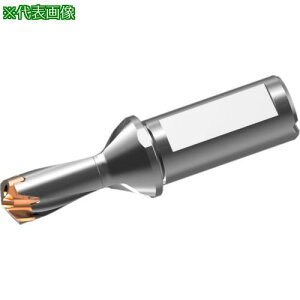 ���O�H �w�b�h���������d�h���� DXAS�z���_ d18×L/D 1.5�k�i��:DXAS1800X1F25�l�y7177869:0�z[�����ʓr���ς�][�f�O���][�X�����s��]