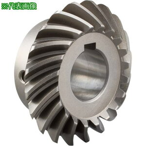 ��KANA �X�p�C�����}�C�^�M�� �����i ���W���[��5 ����20�k�i��:SCMKSMB520R�l�y7244435:0�z[�����ʓr���ς�][�f�O���][�X�����s��]