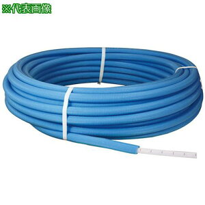 ���I���_���쏊 �J�|���p�C�vW 13A 5mm�핢(�u���[)�t 10m���k�i��:OSPEX13CPB5A10OP�l�y7283658:0�z[�����ʓr���ς�][�f�O���][�X�����s��]