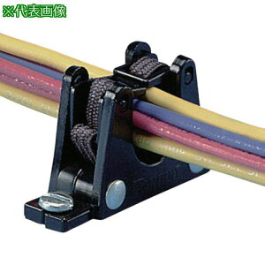 PANDUIT n[lX{[hANZT GXeBbNeCi[ (10)ki:ER1.25E4Xly7310749:0z[Xs]