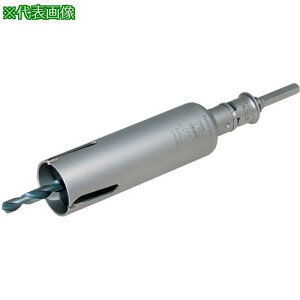 ���{�b�V�� 2X4�R�A80mmSDS�Z�b�g�k�i��:P24080SDS�l�y7330731:0�z[�����ʓr���ς�][�f�O���][�X�����s��]