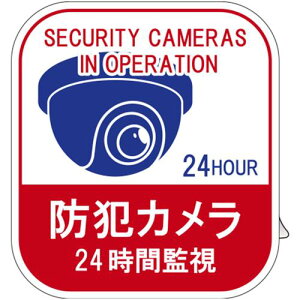 ���Ώ\�� �C���X�g�X�e�b�J�[�W�� �h�ƃJ�����E24���ԊĎ� 5���g �\136 100×90mm�k�i��:047136�l�y7336982:0�z[�����ʓr���ς�][�f�O���][�X�����s��]