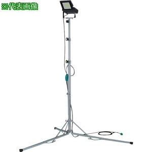 HONDA LED@100W1 Or EL1001ki:11725ly7337671:0z[ʓrς][fO][Xs]