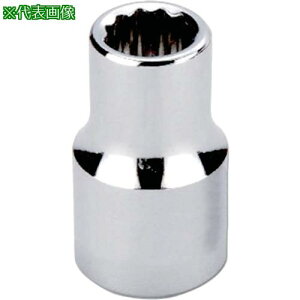 ���G�r �\�P�b�g(12�p)�C���` �X�^���_�[�h �����p19 �ΕӐ��@1-1/4 �S��56mm�k�i��:L6B40W�l�y7345911:0�z[�����ʓr���ς�][�@�l�E���Ə�����][�f�O���][�X�����s��]