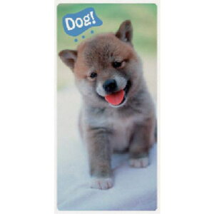 jbg tHgWCV[  PVCXebJ[ 800×400mmki:91543ly7453809:0z[ʓrς][fO][Xs]