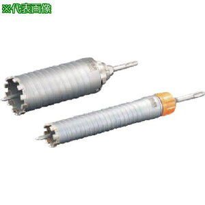 ��UNIKA UR21 �����ޗp25mm SDS�V�����N�k�i��:UR21F025SD�l�y7503318:0�z[�����ʓr���ς�][�f�O���][�X�����s��]