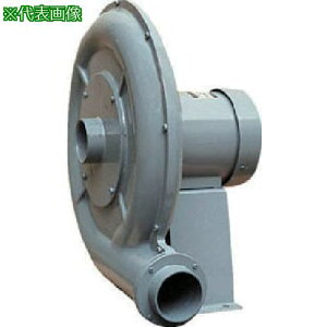������d�@ �d�������@ �����^�[�{�^ DH�V���[�Y �O��200V (0.125kW)�k�i��:DH2TL�l�y7549351:0�z[�����ʓr���ς�][�@�l�E���Ə�����][����][�X�����s��]