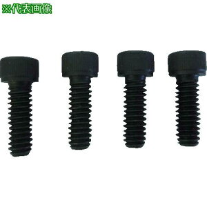 y݌ɌzTRUSCO ]toCXTLV-100p Œp˂(1Zbg4)ki:TLV100NSly7623283:0z[Xs]