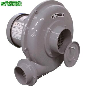 ������d�@ �d�������@ �v���[�g�^ N�V���[�Y �P��100V (0.045kW)�k�i��:NK2L�l�y7786034:0�z[�X�����s��]